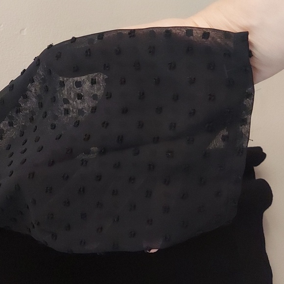 ADRIANNA PAPELL Black Crewneck Swiss Dot Sheer Long Sleeve Pullover Sweater - Picture 6 of 11